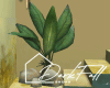 Tropical Plant in Rocks
