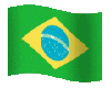 (Alm)ANIMATED BRAZIL