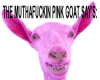 Pink Goat says LOL