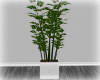 [Luv] Plant