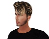 Wes Blonde Ombre