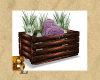 Beach Planter box