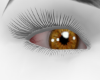 light brown eyes