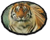 matching tiger rug