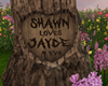 Shawn + Jayde *STUMP