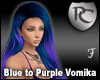 Blue to Purple Vomika
