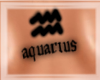 (CC) Aquarius BackTat