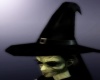 ~BEV~ Witches Hat