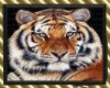 QT~Tiger Master Frame