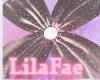 Pink Ceiling.Drape