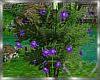 Enchanted Purple Flowers
