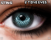 S' 2 Toned Eyes