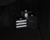 Shopping Bags