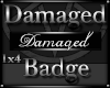 ¥ Damaged Badge