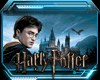 [RV] Harry Potter - Wand