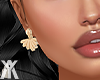 YA.Ayna Earrings