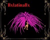 Feathers purple pink