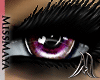 [M] 1st Sight Passion