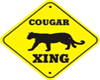 (KD) Cougar crossing