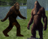 2 sided Bigfoot