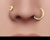 ♥ Nose Piercings Gold