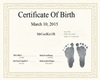 JR's Birth Certificate