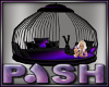 [PASH] PASH Circ Swing