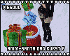 Xmas + Santa Bag Burst F