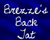 Brezze's Back tat