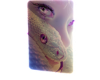 ð Girl Snake