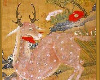 Chinese painting  - Deer
