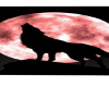 wolf moonlight poster