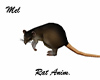 Rat Anim.