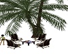Bama seating under Palm