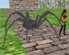 [dani]Black Spider anim.