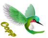 GreenHummingbird