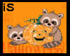 SS-Pumpkin Racoons