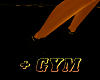 +GYM-ADDIDAS+