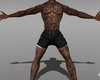 Asteri Skin Tats 06