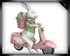 Easter Rabbit Ride