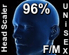 F/M Head Scaler 96%