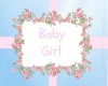 т| Baby Girl Room