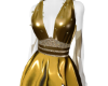 2024 Gold dress