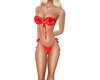 Summer  Red  Bikini