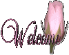 WELCOME W/ ROSE..