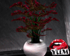 /Y/SXE Potted Plant