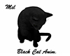 Black Cat Anim.