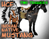 HCF Indian Native Horse 