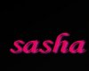 sasha custom