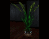 (SE):WV: Plants